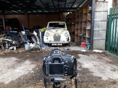 PD Motors
