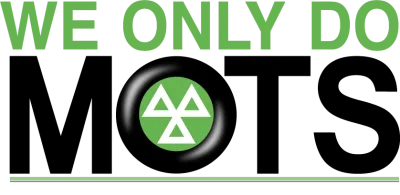WE Only DO Mots