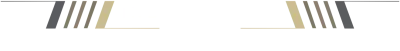 Independent Vehicle Specialists