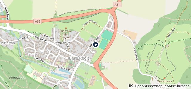 Map showing the location of Bere Regis MOT & Service Centre
