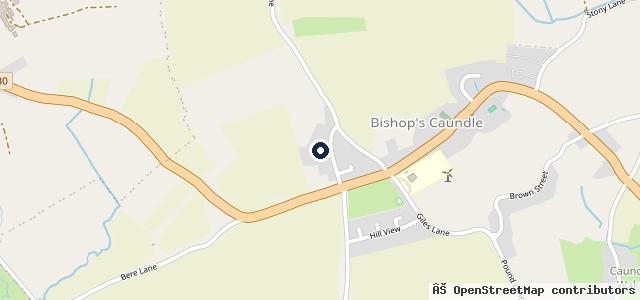Map showing the location of Bishops Caundle Services